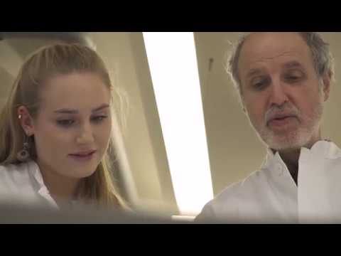 Lehramt mit Perspektive an der CAU Kiel