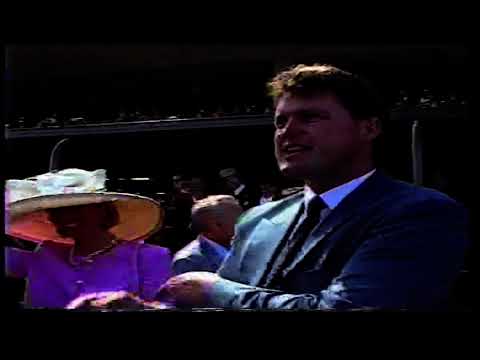 1991 Melbourne Cup 3UZ