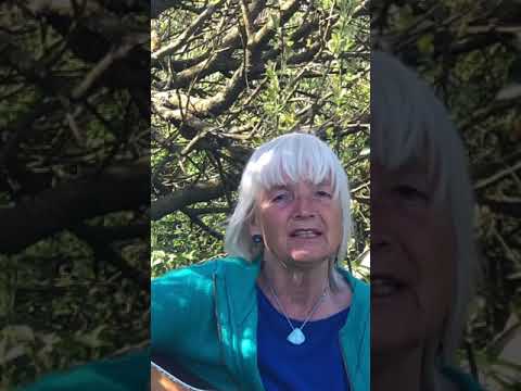 Möge Heilung geschehn - Version zum Mitsingen