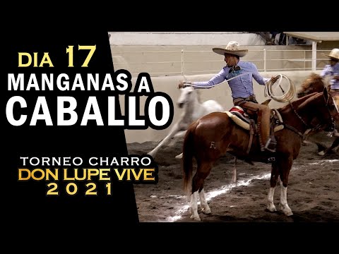 MANGANAS A CABALLO day 17 - Don Lupe Vive Tournament 2021