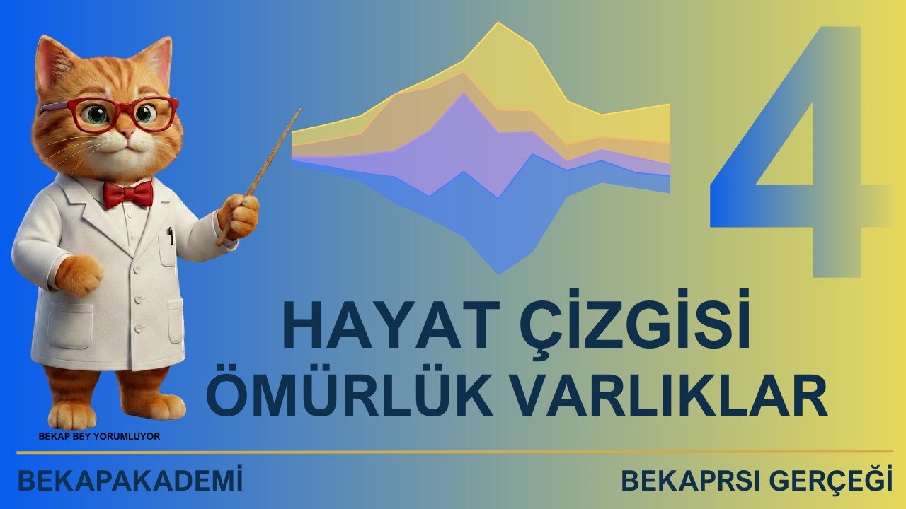Ömürlük varlıklar  Hayat Çizgisi Nasıl Çizilir