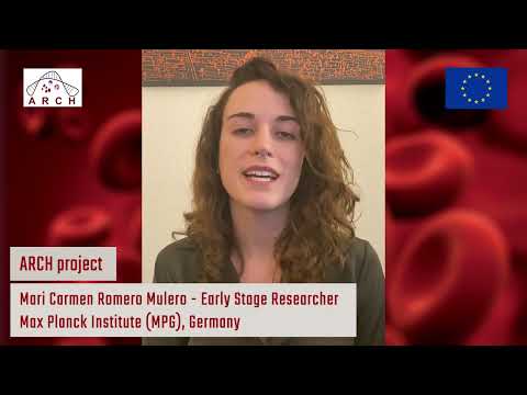 Mari Carmen Romero Mulero - Early Stage Researcher - ARCH Project (English version)