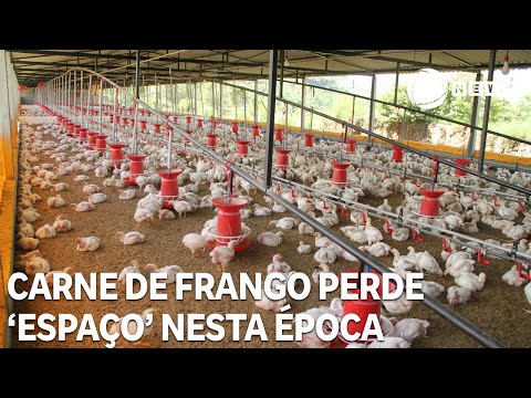 Carne de frango perde competitividade nesta época do ano