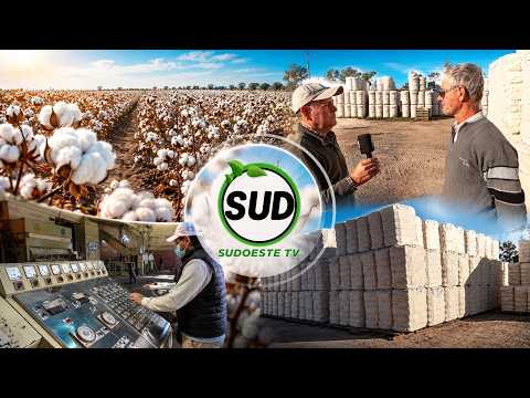 La situación algodonera y nuevas viviendas en Du Graty | SUDOESTE TV | Canal 9