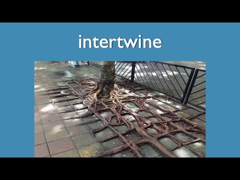 Intertwine meaning