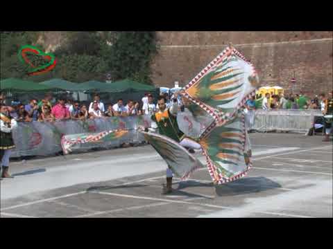 Singolo eliminatorie SCHIFONE A. - Tenzone Aurea -  Bra 2011