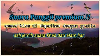 Download lagu SP.PREMIUM REVISI ALAM LIAR | SUARA PANGGIL WALET SUPER RESPON mp3
