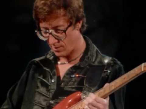 Hank Marvin - While My Guitar Gently Weeps