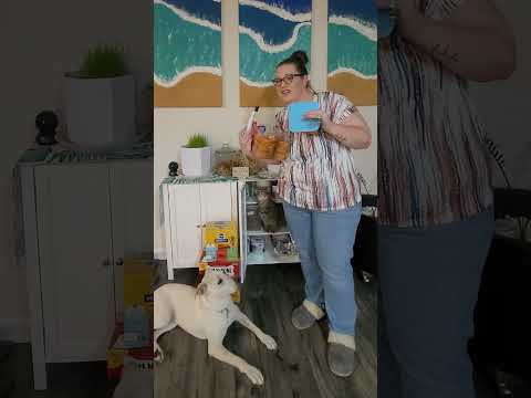 My Pet Cabinet System (Snacks, Enrichment & Hygiene)