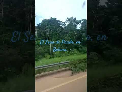 El puente del Sena de Pando, para llegar a cobija, pasando el rio madre de Dios.