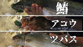釣った魚達を捌いて頂きます！！