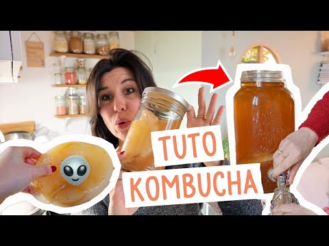 Recette kombucha recette