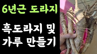 6년근 도라지???? 흑도라지 및 가루만들기 ???? 