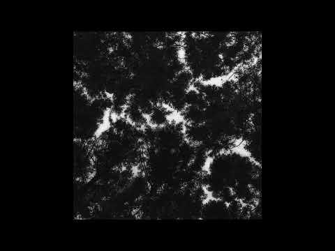 Memory Recollection 50 Pack Vintage Sample Bundle | Collection 12 (350+ samples)