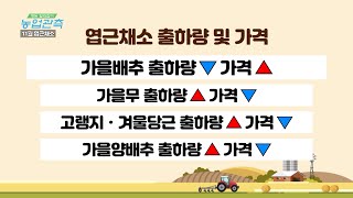 [영농길라잡이 농업관측] 11월 엽근채소