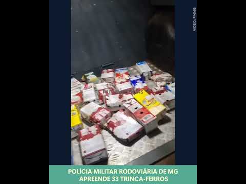 Polícia Militar Rodoviária de MG apreende 33 Trinca-Ferros