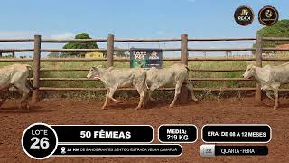 Vídeo LOTE 26