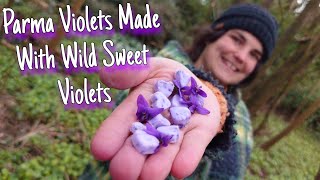How To Make Parma Violets With Wild Sweet Violets 💜🍬
