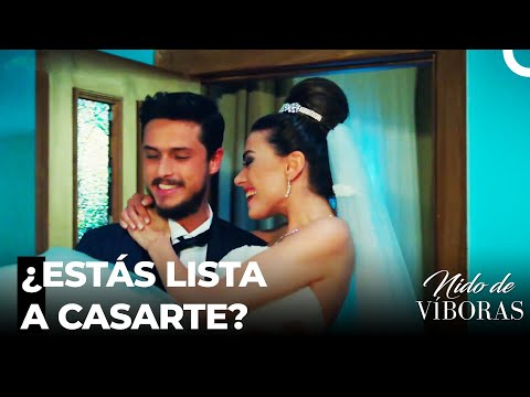 Quiero Que Seas Mi Mujer- Nido De Víboras