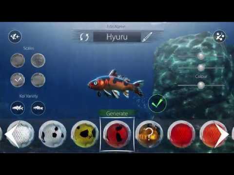 My Koi PC Gameplay / Watch your Kois grow - YouTube