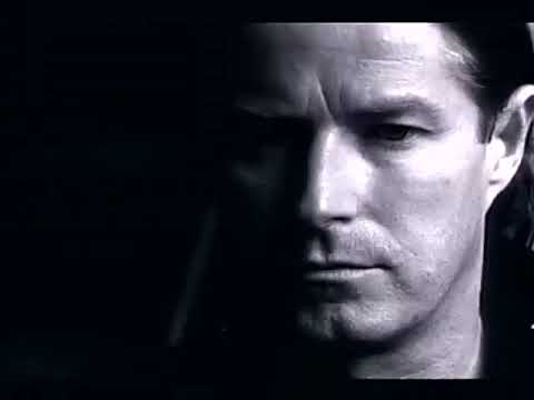 RARE Don Henley End Of The Innocence LP VERSION HQ audio lyrics onscreen