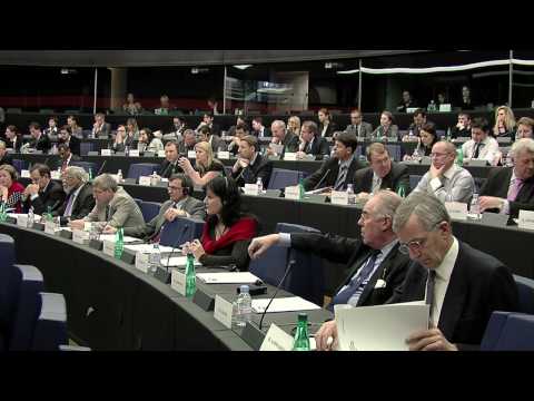 Ivo STREJČEK, European Conservatives and Reformists