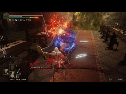 ELDEN RING - ELEMER OF THE BRIAR (Parry/Melee)