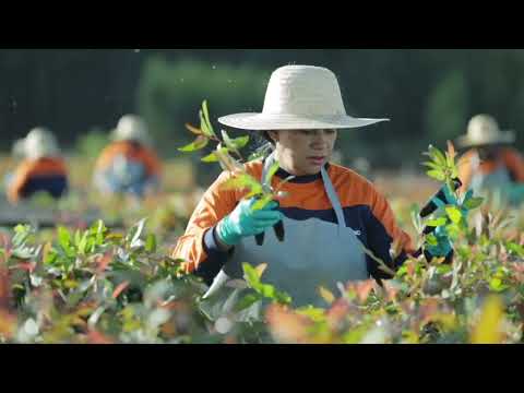 [FR] Corporate film 2022