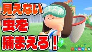 【あつ森】姿の見えない虫！？音を頼りに捕まえろ！！！【あつまれどうぶつの森】