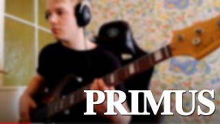 Primus - Nature Boy [Bass Cover]