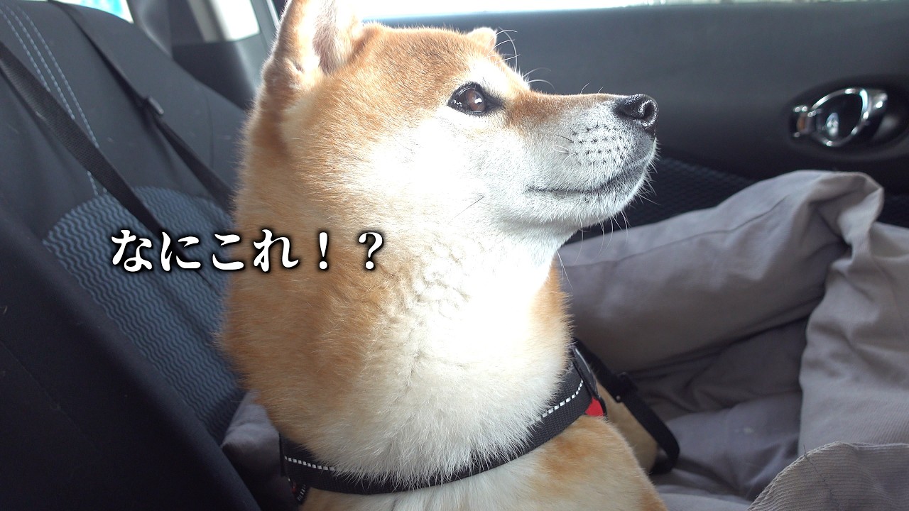 パパ不在で元気づけたら、まさかの展開に