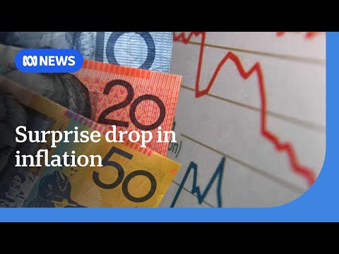 Surprise drop in inflation divides economists over rates predictions | ABC NEWS