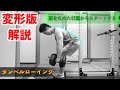 【筋トレ】変形版ダンベルロウイングのやり方を解説! 全ての背中トレで重要なコツです【広背筋】