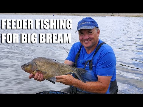 Feeder Fishing for Big Bream