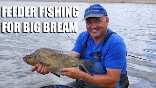 Поплавок expert bream match