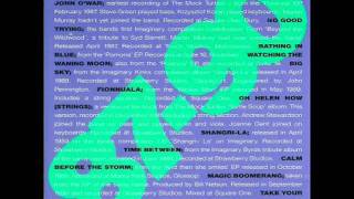 The Mock Turtles - Calm Before The Storm