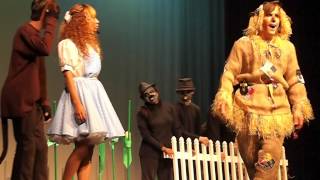 preview picture of video 'If i only had a brain~wizard of oz'