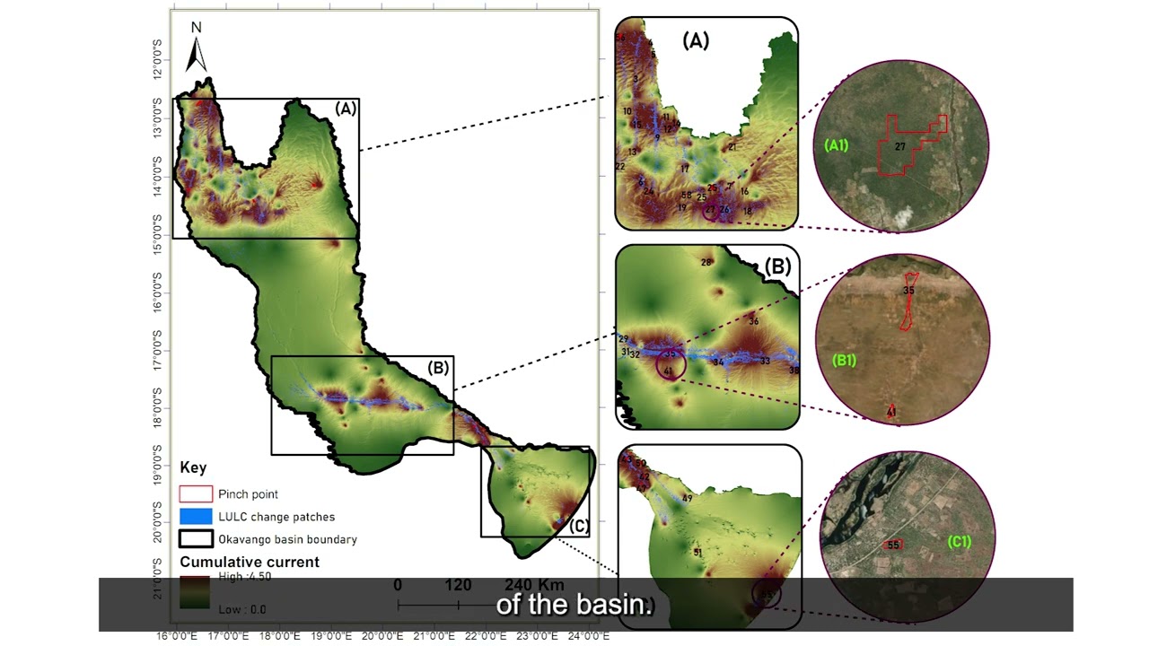 Landuse/Landcover Change and Surface Water Resources in the Okavango Basin