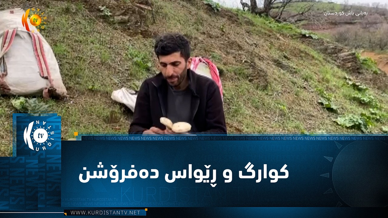 ڤیدیۆ | سیدەکان  ..  گەنجانی کاسبکار بە دوای پەیداکردنی بژێوی ژیان و هێنانی کوارک و ڕێواس دا دەگەڕێن