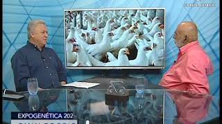 Miniatura do vídeo