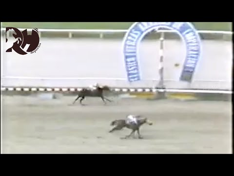 La famosa revancha de A.A. CASTILLO!! JET PRINCE derrota a CLEVER DANCER en el Clásico F.A.C de 1995