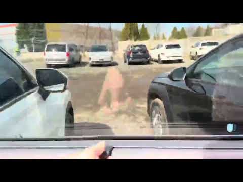 2024 Hyundai Palisade Urban 8-Passenger AWD in White for sale at Finch Hyundai in London, ON