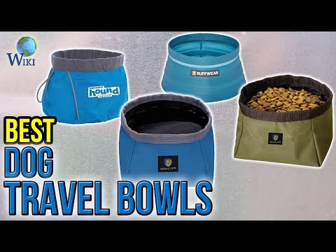 9 Best Dog Travel Bowls 2017