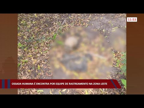 Ossada humana é encontrada por equipe de rastreamento na zona leste 15 07 2022