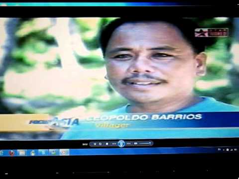 Video thumbnail — Rowan Byrne Marine Biologist Sea Turtle and Dugong Research Southern Philippines 2001