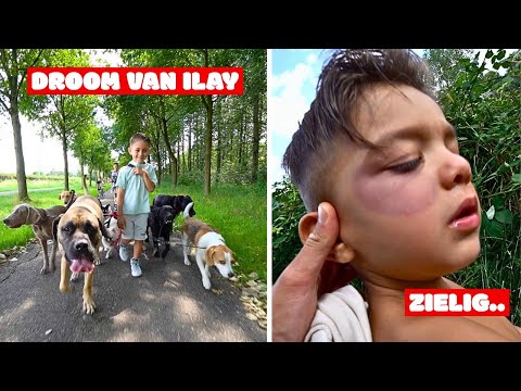 WE LATEN ILAY ZIJN DROOM UITKOMEN & MIAZ VAN EEN BERG GEVALLEN | #809