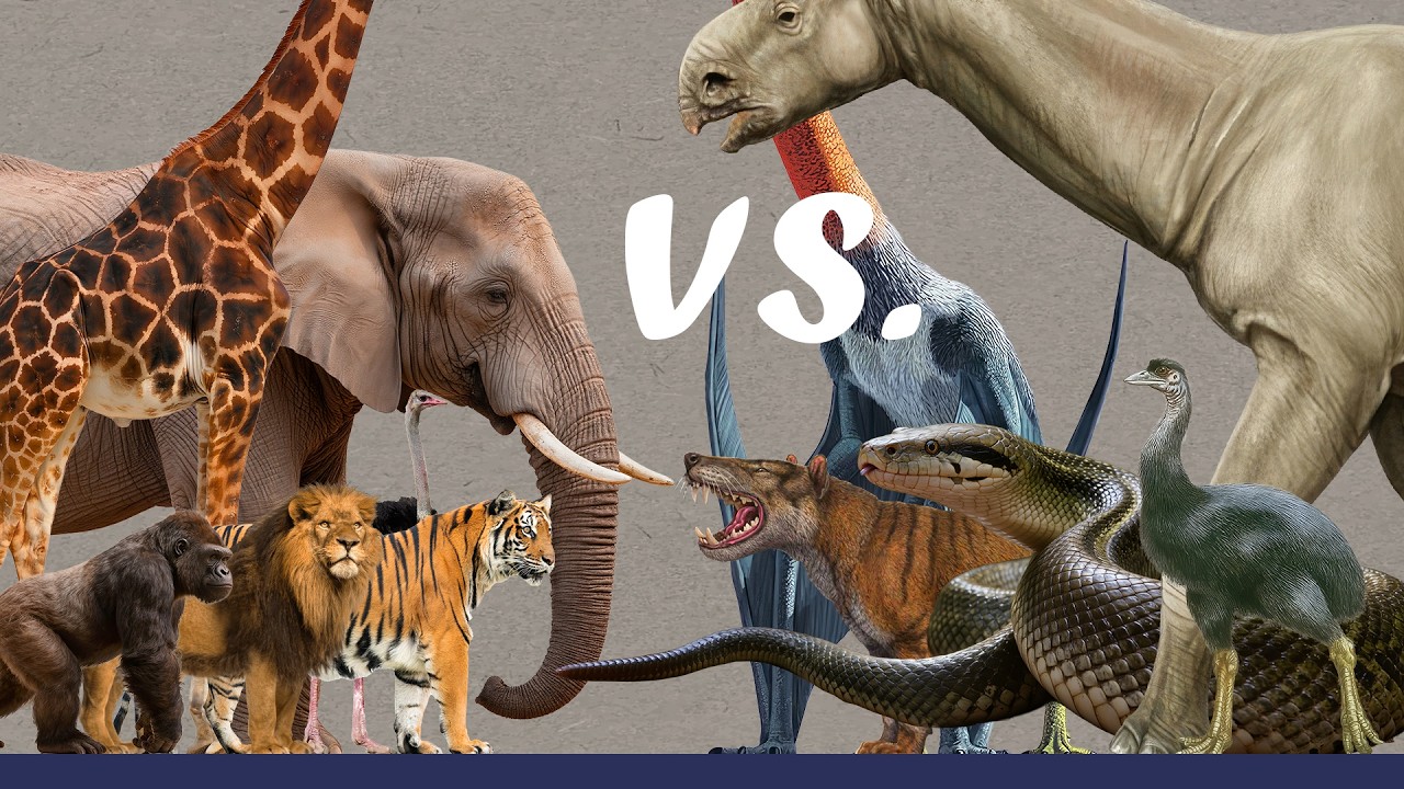 Animal Size Comparison | The Largest Animals by Species: Living and Extinct