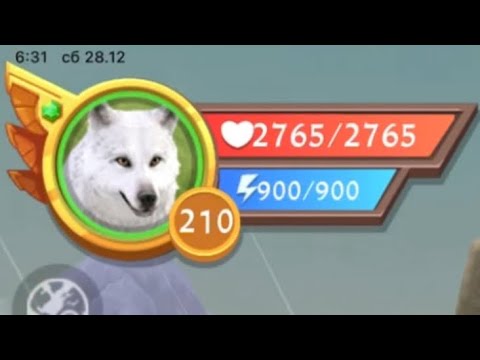 Reaching level 210 in WildCraft!!!