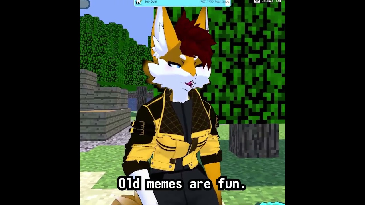 Anyone remember this meme?  #furry #durrvish