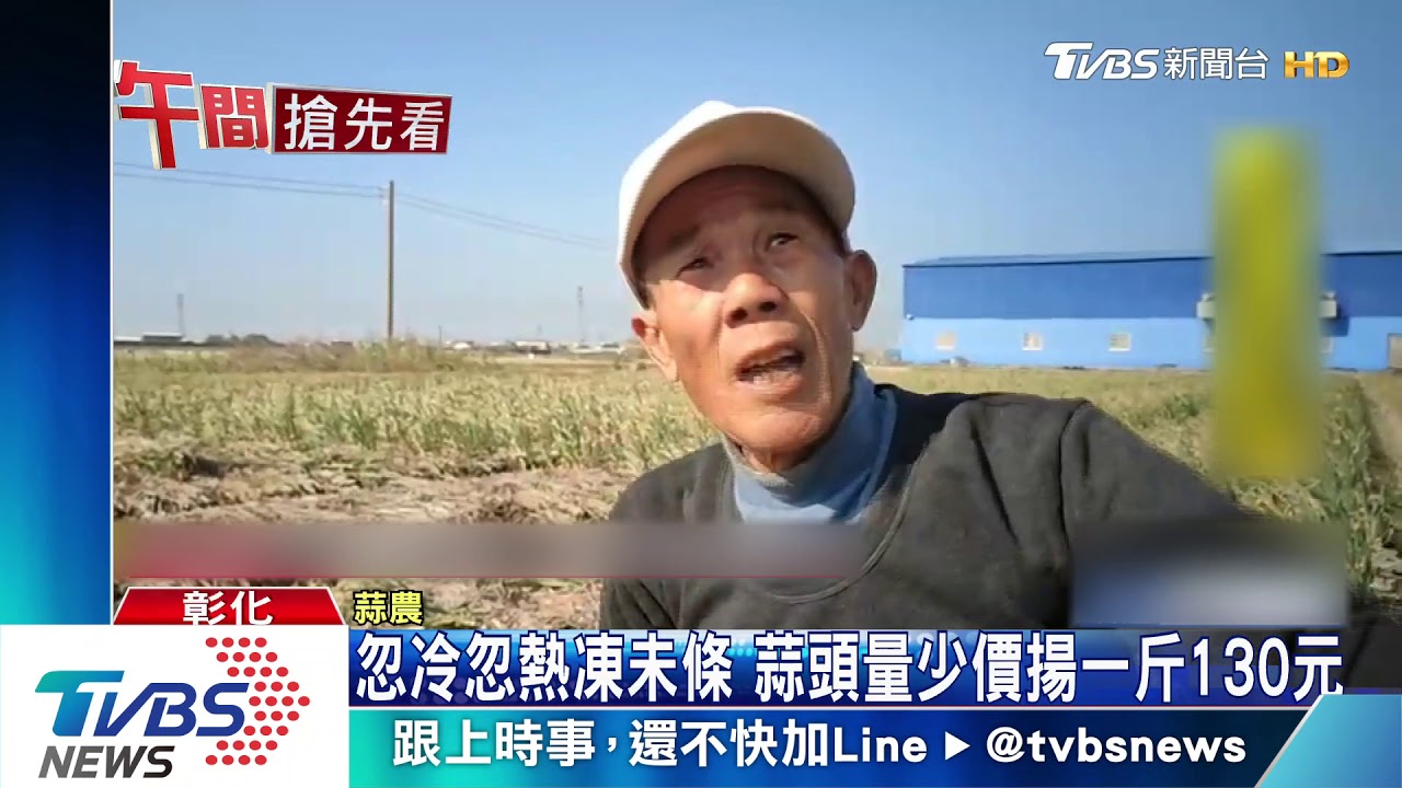 忽冷忽熱凍未條 蒜頭量少價揚1斤130元